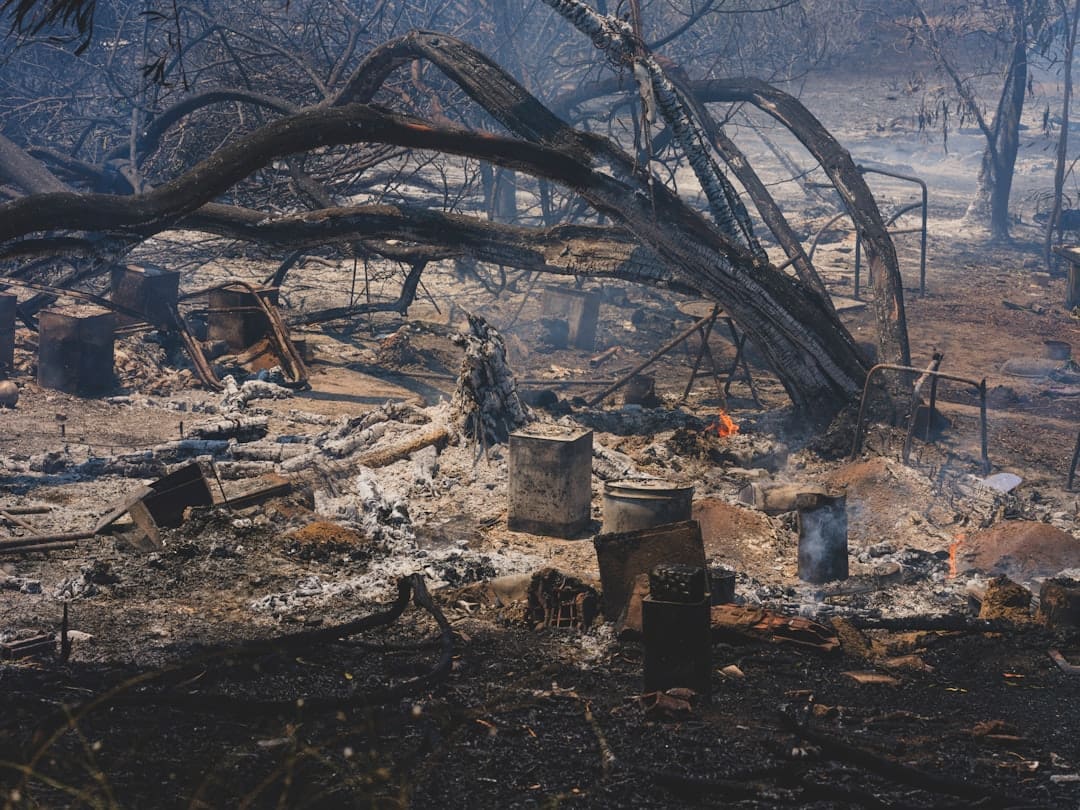 wildfire-property-damage-claim-complete-guide-image wildfire property damage claim