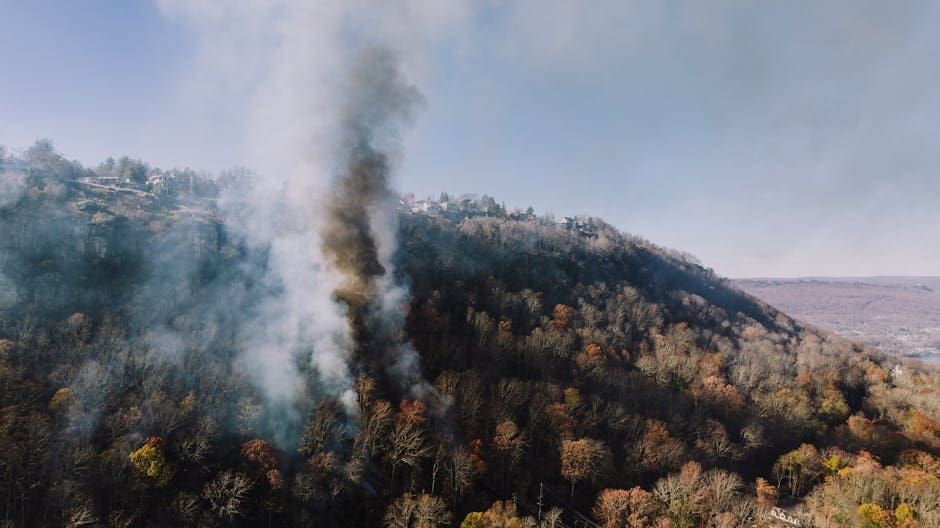 wildfire-smoke-damage-claims-image Wildfire smoke damage claims